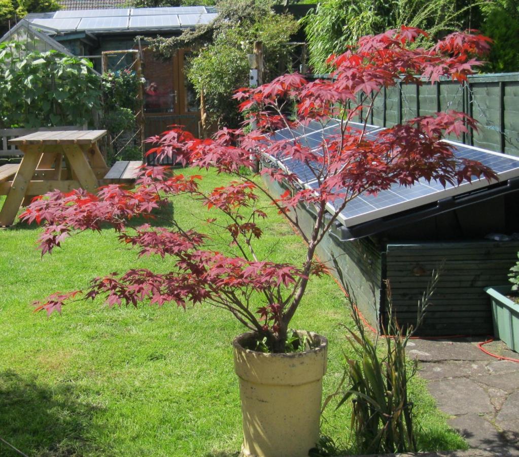 Perfect For Petersfield B&B Luaran gambar